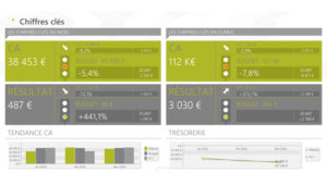 Analyse gestion finance Domitia Conseil