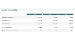 Analyse gestion financiere ratios financiers